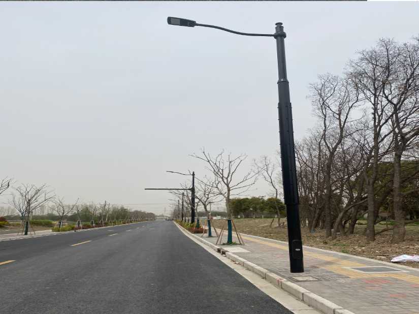 施甸县上海综合杆 太阳能路灯工程